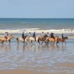 cabourg logis brionne